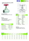 ARITA SGL Globe Valve Stainless Steel - BSPT