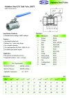 ARITA SBA Ball valve 1PC Stainless Steel - BSPT