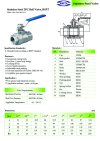 ARITA SBA Ball valve 2PC Stainless Steel - BSPT
