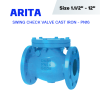 ARITA Swing Check Valve (ISW-F3) - สวิงเช็ควาล์ว PN16