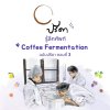 รู้ลึกศัพท์ Coffee Fermentation สมัยใหม่ (ฉบับปรีดา) ตอน 3 รู้ลึกศัพท์ Coffee Fermentation สมัยใหม่ (ฉบับปรีดา) ตอน 3