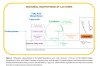 The mechanism of peach and plum aroma development during coffee fermentation.