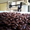 French Roast กาแฟคั่วเข้มนี่แหละที่ยากที่สุด! French Roast กาแฟคั่วเข้มนี่แหละที่ยากที่สุด!
