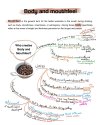 Roasting Coffee: Why Body Matters