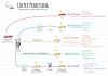 Coffee Processing กระบวนการแปรรูปกาแฟ Coffee Processing กระบวนการแปรรูปกาแฟ