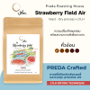Strawberry field Air (Yeast Dry Process x LTLH)