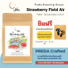 Strawberry field Air (Yeast Dry Process x LTLH)