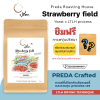 Strawberry field (Yeast Dry Process x LTLH)