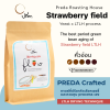 Strawberry field (Yeast Dry Process x LTLH)