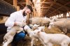 Farm Biosecurity Farm Biosecurity