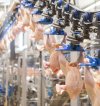 Poultry processing Poultry processing