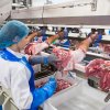 Red Meat Processing Red Meat Processing