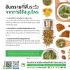 อันตรายที่พึงระวังจากการใช้สมุนไพร - SiamBiotech โรงงานรับผลิต OEM ODM อาหารเสริม เสริมอาหาร ยาแผนไทย ยาแผนโบราณ เครื่องดื่ม แบบ One Stop Service อันตรายที่พึงระวังจากการใช้สมุนไพร - SiamBiotech โรงงานรับผลิต OEM ODM อาหารเสริม เสริมอาหาร ยาแผนไทย ยาแผนโบราณ เครื่องดื่ม แบบ One Stop Service