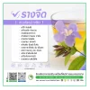 รางจืด - SiamBiotech โรงงานรับผลิต OEM ODM อาหารเสริม เสริมอาหาร ยาแผนไทย ยาแผนโบราณ เครื่องดื่ม แบบ One Stop Service