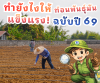 ทำพันธุ์มันอย่างไรให้แข็งแรง ทนแล้งฉบับปี69