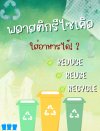 พลาสติกรีไซเคิล สัมผัสอาหารได้ไหม?