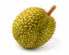 Fresh Thai Durian