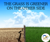 The Grass Is Greener on the Other Side The Grass Is Greener on the Other Side