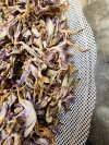 ศาสตร์และศิลป์แห่งการรังสรรค์ Handcrafted Tea: จากยอดใบสู่สุนทรียภาพในถ้วยชา