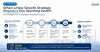 Why Do Promising New Businesses Struggle to Scale Inside Successful Organizations? Why Do Promising New Businesses Struggle to Scale Inside Successful Organizations?