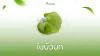 ใบบัวบก ใบบัวบก