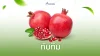 ทับทิม