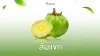 ส้มแขก