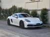 Gloss Metallic Pearl White
