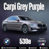 Carpi Grey Purple