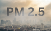 PM 2.5 ภัยร้ายไม่ใช่แค่ที่ปอด PM 2.5 ภัยร้ายไม่ใช่แค่ที่ปอด