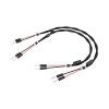 Esprit Audio Aura Speaker Cable 3 M.