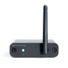 AUDIOENGINE B1 Bluetooth Music Receiver-EU