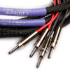 Black Rhodium Quickstep S Speaker Cable 3M