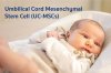 ทำความรู้จัก Stem Cells UC-MSCs ทำความรู้จัก Stem Cells UC-MSCs