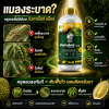 บิวทาเร็กซ์แม็กซ์ กำจัดเพลี้ย แมลงปากดูด