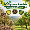 ใส่ปุ๋ยแล้วต้นไม่โต?เช็ก 5 อาการและวิธีแก้ให้ตรงต้นเหตุ ใส่ปุ๋ยแล้วต้นไม่โต?เช็ก 5 อาการและวิธีแก้ให้ตรงต้นเหตุ