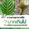 ภาวะธาตุอาหารพืชมากเกินไป พิษแฝงในความอุดมสมบูรณ์ของดิน ภาวะธาตุอาหารพืชมากเกินไป พิษแฝงในความอุดมสมบูรณ์ของดิน