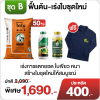 ชุด B ฟื้นต้น–เร่งใบชุดใหม่ ชุดบำรุงต้นและเร่งใบชุดใหม่