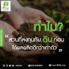 ทำไม? สวนที่ลงทุนกับดินก่อน ได้ผลผลิตดีกว่าเท่าตัว! ทำไม? สวนที่ลงทุนกับดินก่อน ได้ผลผลิตดีกว่าเท่าตัว!
