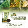 ปุ๋ยอินทรีย์เคมี เอนซิส 5-10-5 (OM10%)  ตราไดโนเร็กซ์ ขนาด 25 กิโลกรัม