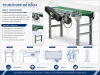 Belt Conveyor / ระบบสายพานลำเลียง