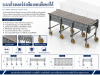 Flexible Roller Conveyor | ระบบโรลเลอร์ลำเลียงแบบยืดหดได้