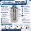 มาทำความรู้จักกับ “พุกเคมี” Chemical Anchor