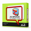 IQ Brand กระดาษถ่ายเอกสารสี A4 สีเขียว (Cyber Green) 80 แกรม 500 แผ่น/รีม
