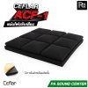 CEFLAR ACF-1 แผ่นโฟมซับเสียง Soundproof Foam ขนาด 30x30 cm. หนา 5 cm.