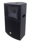 A & J AJT-151 Professional 2 Way Speaker