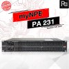 myNPE PA 231 2x31 BAND EQUALIZER