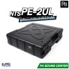NTS PE-2UL RACK แร็ค ลึก 17 นิ้ว กล่องใส่อุปกรณ์เครื่องเสียง rack แร็คขนาด 2U