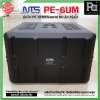 NTS PE-6UM RACK ลึก15นิ้ว แร็ค รุ่น PE 6UM PE6UM 15" โพลีเอทิลีน ตู้Rack กล่องใส่อุปกรณ์เครื่องเสียง