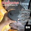 ขายส่งฟองน้ำทายาง 1 นิ้ว เกรด A